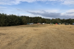 Emeroad-2019-00526